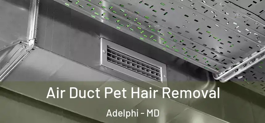  Air Duct Pet Hair Removal Adelphi - MD