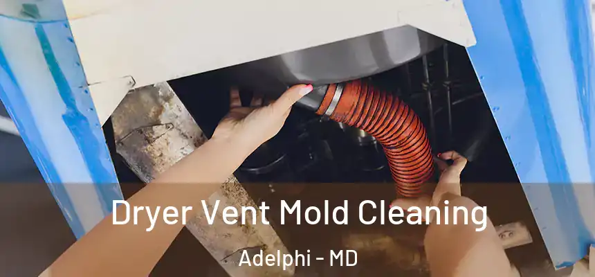  Dryer Vent Mold Cleaning Adelphi - MD