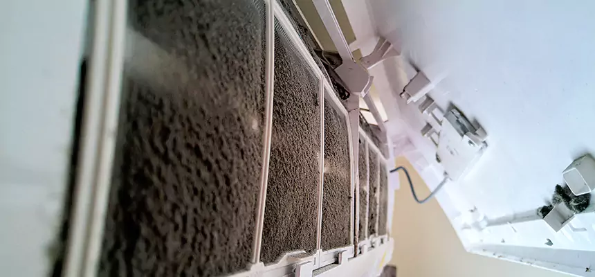 Preventive Air Duct Bacteria Removal in Adelphi