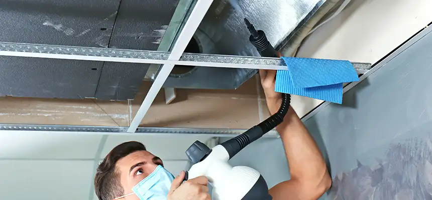 Our Air Duct Rodent Removal Services in Adelphi, MD