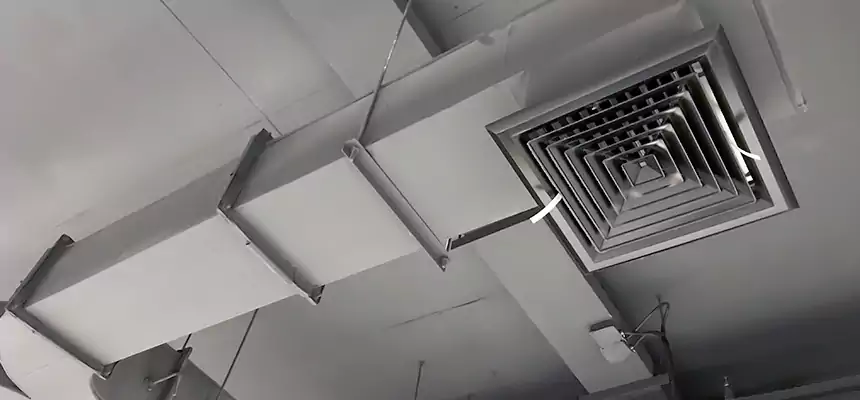 Restorative Allergy Relief Vent Cleaning – Coil, Blower & Housing Detail in Adelphi