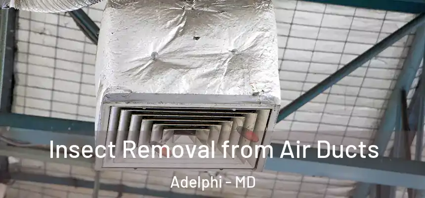  Insect Removal from Air Ducts Adelphi - MD