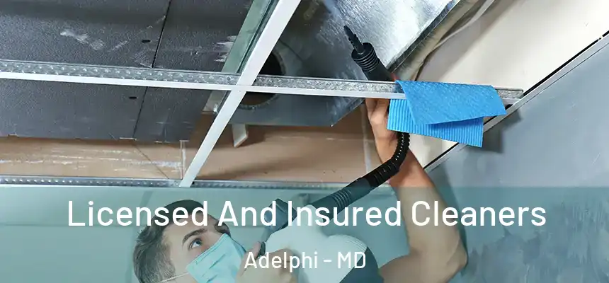  Licensed And Insured Cleaners Adelphi - MD