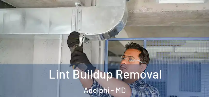  Lint Buildup Removal Adelphi - MD