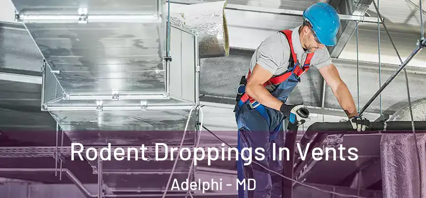  Rodent Droppings In Vents Adelphi - MD