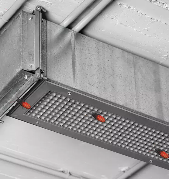 About Air Duct Cockroach Removal in Adelphi, MD