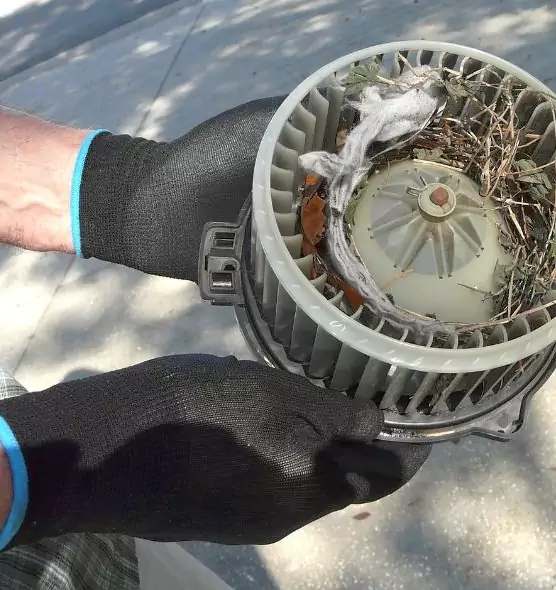 About Air Duct Mice Removal in Adelphi, MD