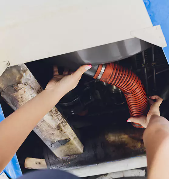About Air Duct Virus Disinfection in Adelphi, MD