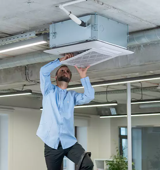 Advanced Rodent Droppings In Vents in Adelphi, MD