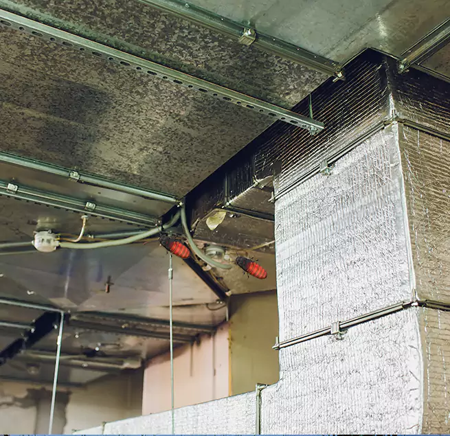 Why Homeowners & Businesses Trust Us Adelphi, MD?