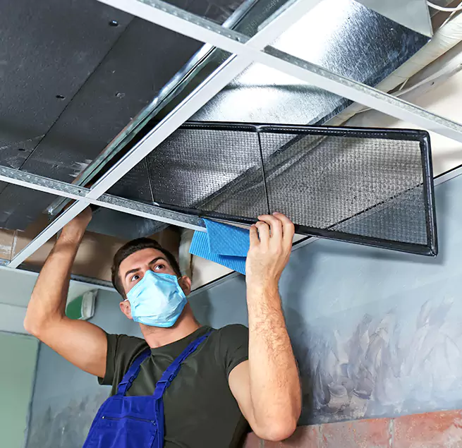 Why Homeowners & Businesses Trust Us in Adelphi, MD?